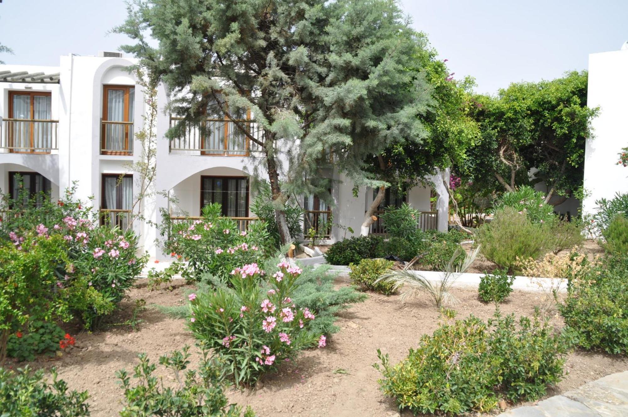 Gumbet Cove Hotel Gümbet Quarto foto